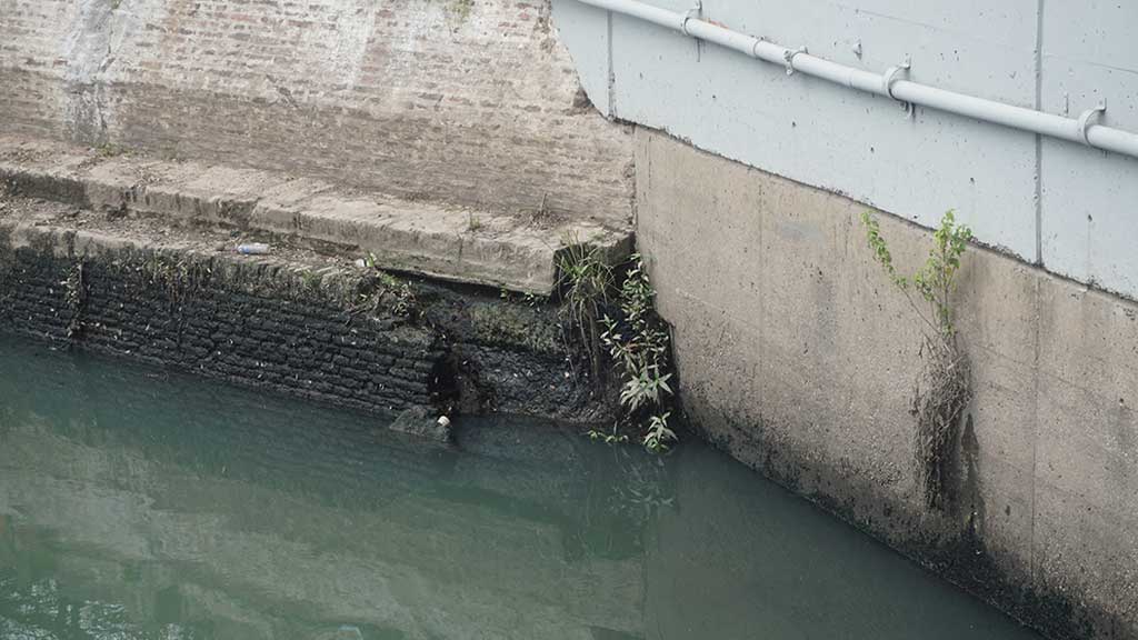 citta federico canal san fernando miami venecia