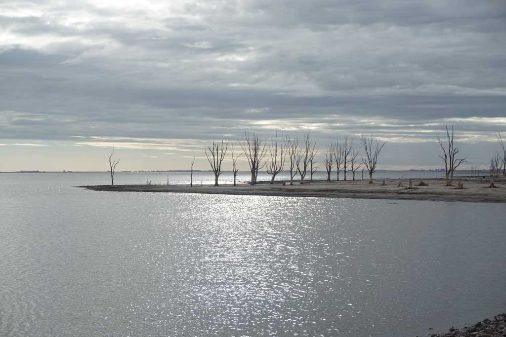 citta federico residencia epecuen para investigaciones artisticas